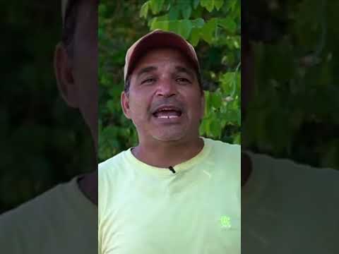 Repórter Aventura - 18/07/2026 | Santuário em Senador Georgino Avelino #shorts #aventura