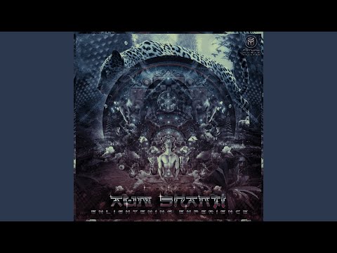 Enlightning Experience