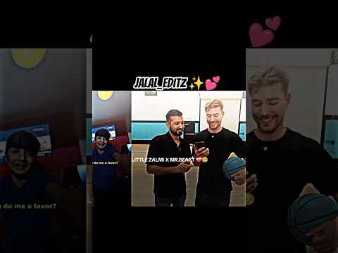 @little_zalmi X@MrBeast ❤️ #mrbeast #zalmi #littlezalmi #mohib the friend 🤯of #Mrbeast😎