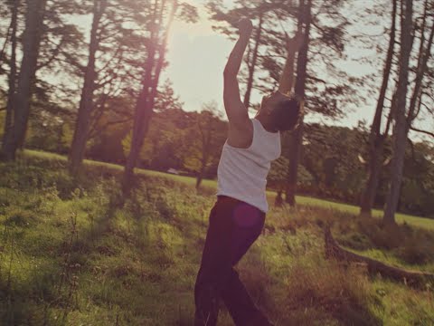 Ye Vagabonds - The Flood (Official Video)