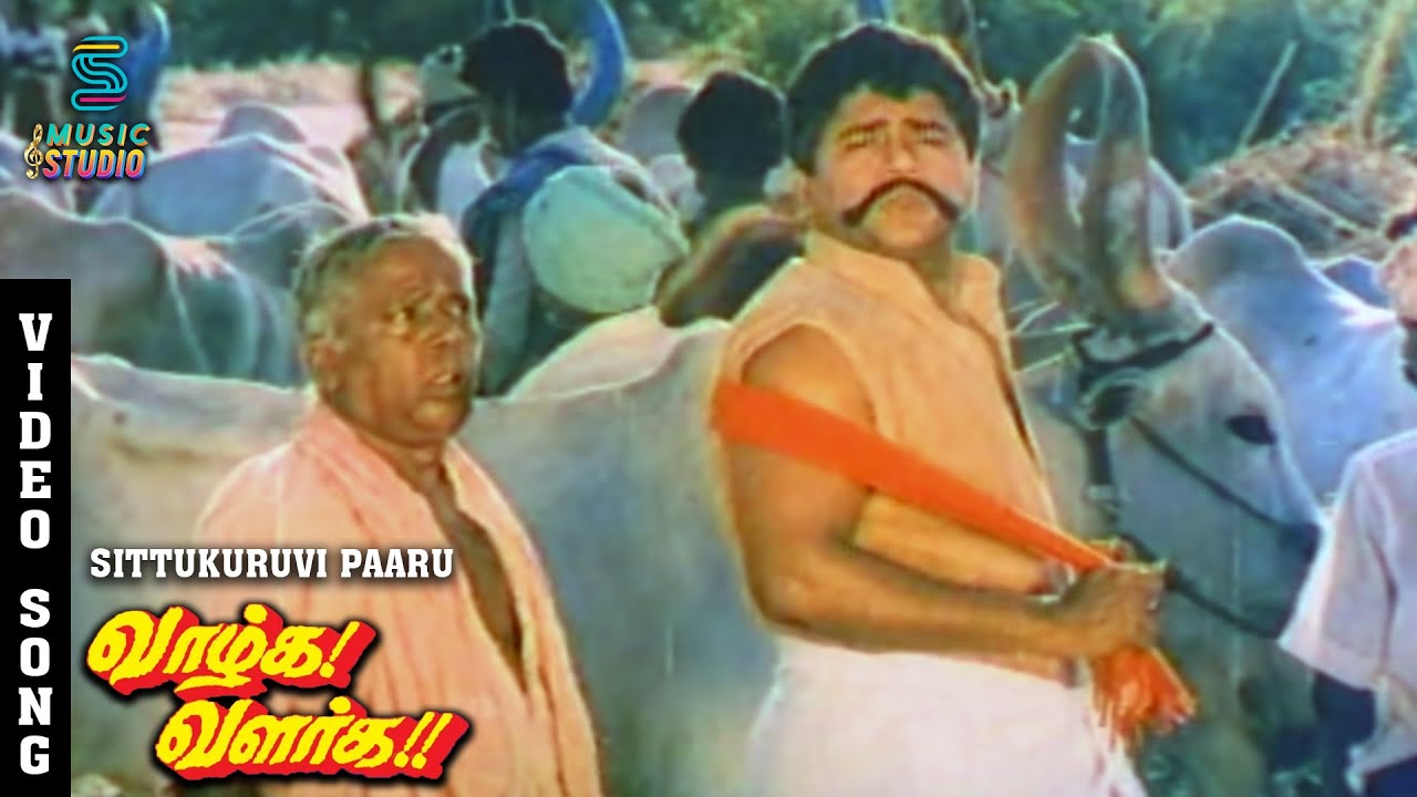Sittu Kuruvi Paaru Song Lyrics | Vaazhga Valarga