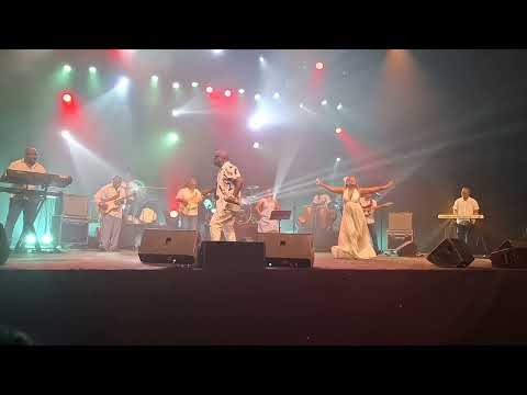 Celibater - Mario Justin