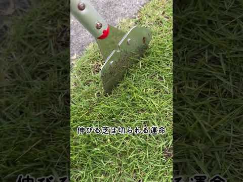 春に芝生を怖がらせるときに損傷を避けるために何をすべきか、あるいはすべきでないか？  庭園