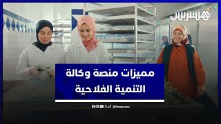 تعرفوا على مميزات المنصة الإلكترونية للوكالة التنمية الفلاحية لتسويق المنتوجات المغربية حول العالم thumbnail