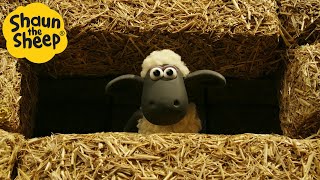 Download lagu Hay House 🐑 Shaun the Sheep 🐑  - Cartoons for Kids 🐑 Full Episodes Compilation [1 hour] mp3