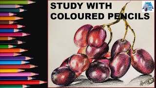 Colored Pencils Study I Fruit Study in Color Pencils I How to Draw Grapes I How to Blend With Ease