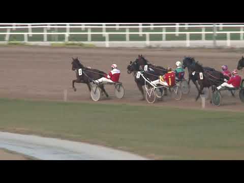 2018.11.10. 03. futam - ZOMBORI DÍJ - NYERETLEN KÉTÉVESEK VERSENYE