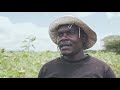 BIDCO AFRICA FARM NAKURU DOCUMENTARY