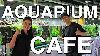 I found a FISH KEEPING CAFE in JAPAN