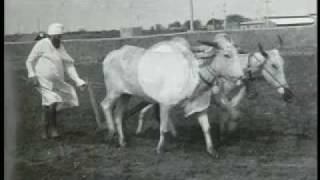 About Gobind Sadan and its Mission – English