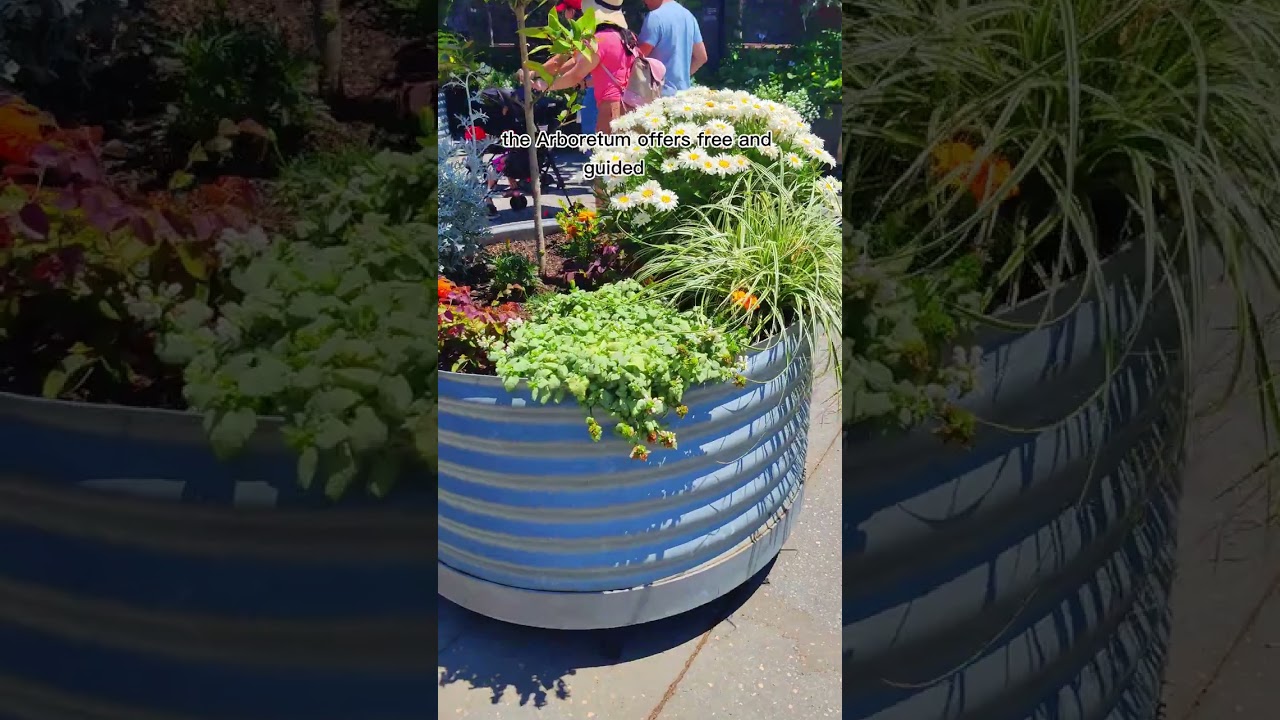 YouTube Short thumbnail