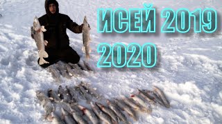 Зимния рыбалка в северном казахстане