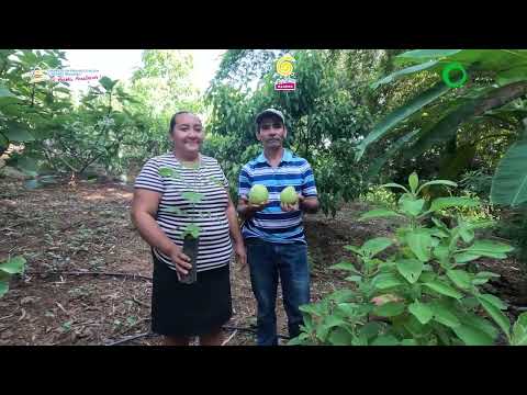 La historia de la familia Soriano García, en Chinandega.