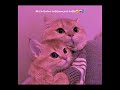 En Aayul Regai Neeyadi🫵 ‍ Songeditz Love Song Lovesong