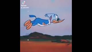 شيبات كبرنا و صار اسمنة اليوم شيبات ️