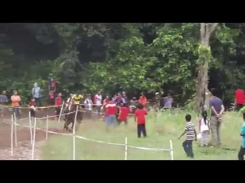 Akhir Kuda PADI A - 31 Okt 2015 @Trek Lacor