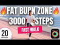 20 Minute Fat Burn Workout Speed Walk 3000 Steps