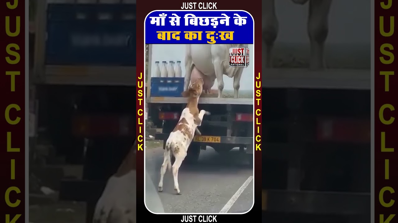 माँ से बिछड़ने के बाद का दुःख,