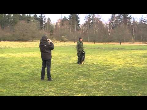 Jabina Fido - Lydighed