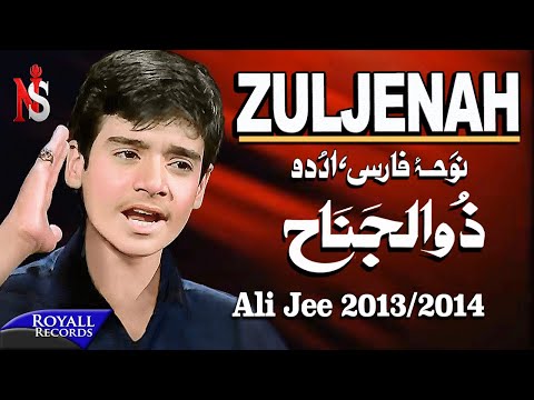 Ali Jee | Zuljenah | 2013-2014 | علی جی شگفت انگیز بچه پاکستان