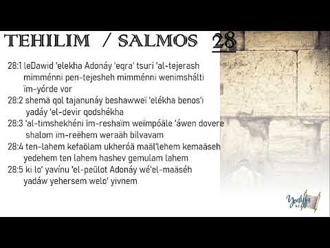 Salmos  Tehilim 28