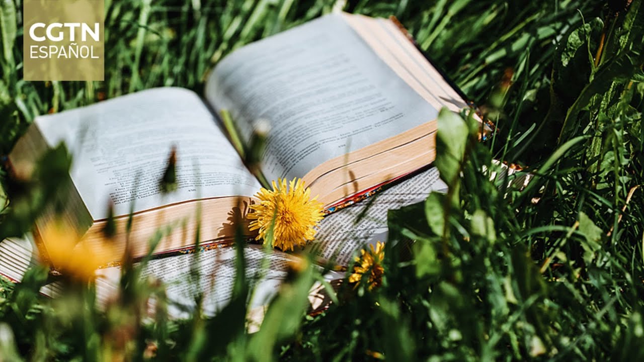 VISIÓN 2025 | La nueva sabiduría poética: creación más allá de las fronteras