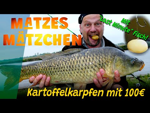 Matzes Mätzchen - Kartoffelkarpfen mit 100€