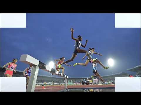 Bhalla International - Vinex 69 Years of Excellence in Sports Equipment Manufacturing