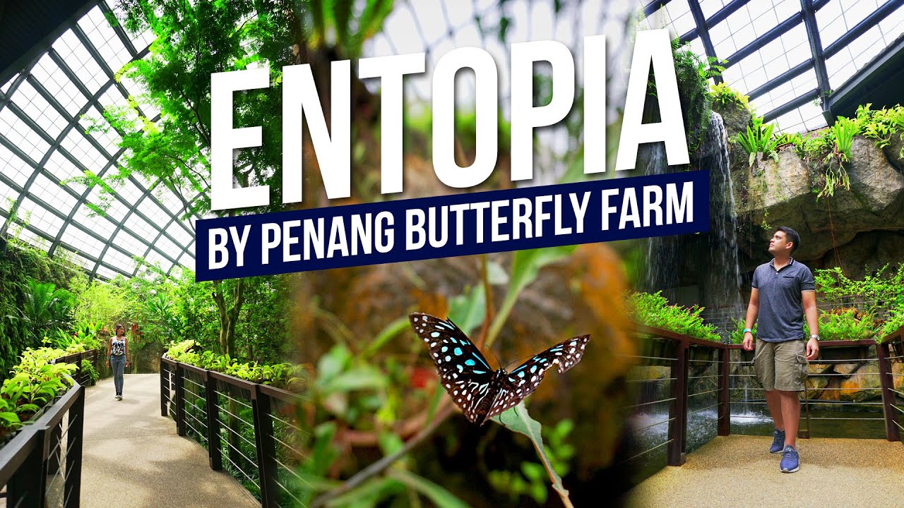 Two adventurers uncover the wonders of Entopia, Penang's enchanting Butterfly Farm.