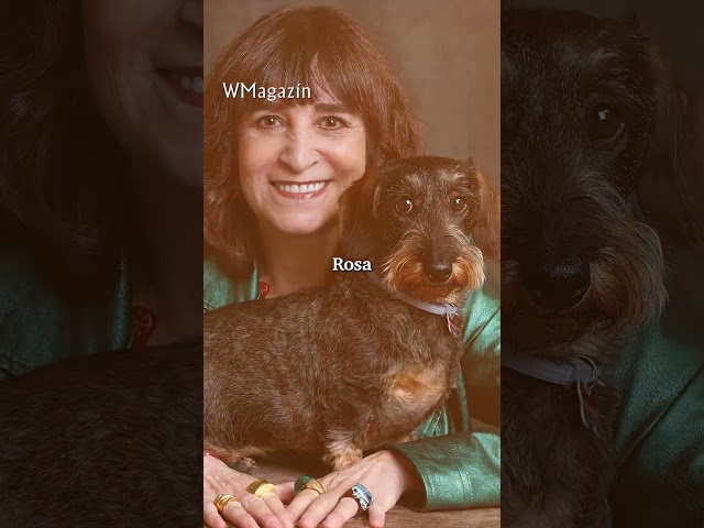 Vídeo relacionado con Animales difíciles: 4 (Biblioteca furtiva)