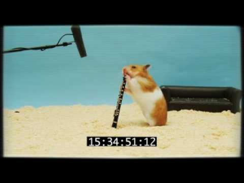 Douglas' Clever Hamster Audition