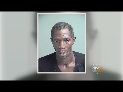 Police: Drunk School Bus Driver Hit Cars, Pole, Hydrant