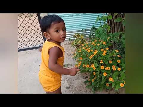 cute child pluking flowers|nature lovers|JITU lucky 7