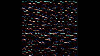SHXCXCHCXSH - Onge [AVN044]