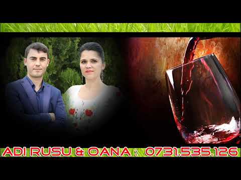 Adi Rusu & Oana   - Sa am anii tineretii colaj hore nou 2019