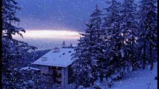 Pineapple Thief - Snowdrops