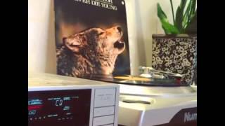 #1LPporDia: James Taylor - Sweet Potato Pie