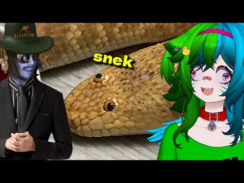 The Silliest Lil Snake | MoreParz Reaction