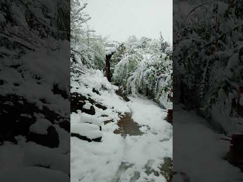 san Luis trapiche argentina ☺️☺️🥶🥶☃️☃️⛄💨⛷️🏂🏻🏔️🌬️❄️❄️❄️🌨️🌨️