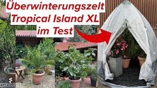 Überwinterungszelt Tropical Island XL von BioGreen Test. Einfache Überwinterung von Kübelpflanzen!