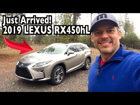 Just Arrived: 2019 Lexus RX 450hL AWD on Everyman Driver