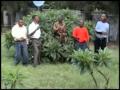 Glorious Band Ukwangala Twangala Avi