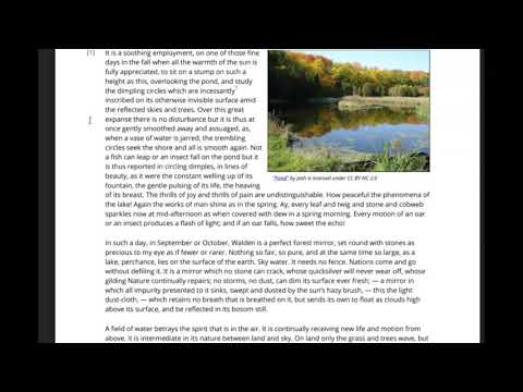 Excerpt from Walden: "The Ponds"