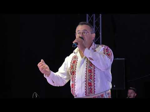 Orchestra Fratii Sandru si Florin Sandru live  Festivalul de Muzica Sebis 2018