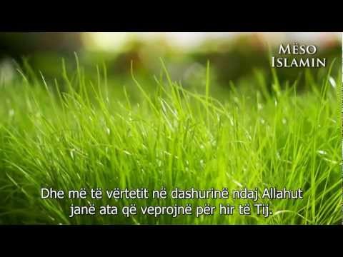 Sinqeriteti dhe dashuria ndaj Allahut  - Shejh Shenkiti