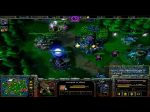 30 Days of Warcraft - Day 29 - Ciara vs. Paladyn