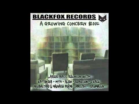 REPULSION - witchcraft /// A Growing Concern V/A #002 /// Blackfox Records