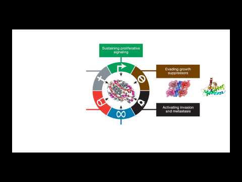Mapping the Cancer Genome