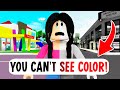 Brookhaven BUT WE CAN T SEE COLORS