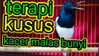 Download lagu pancingan kacer malas bunyi atau macet supaya ngeplong dan gacor mp3 Download lagu pancingan kacer malas bunyi atau macet supaya ngeplong dan gacor mp3